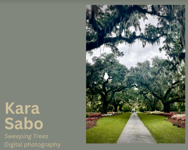 Kara Sabo, Sweeping Trees, Digital Photography