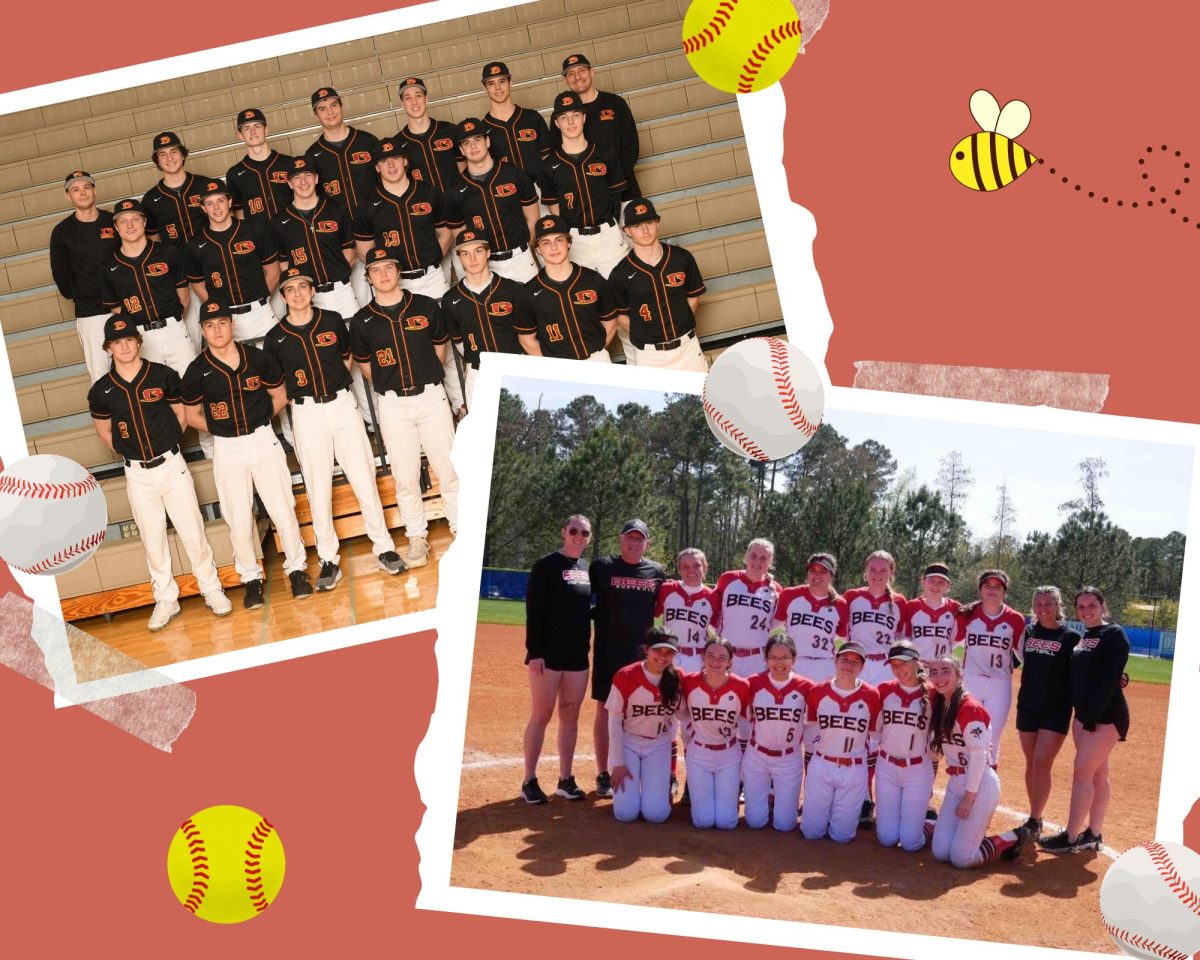 Bees Varsity Softball and Baseball have Swung through their Season!