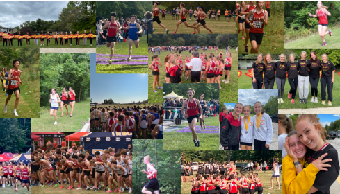 Cross country: work, race, repeat!