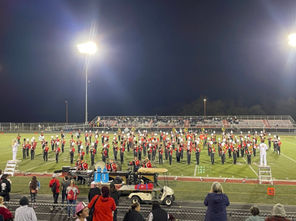 Under the Spotlight, The Marching Bees Take the Field