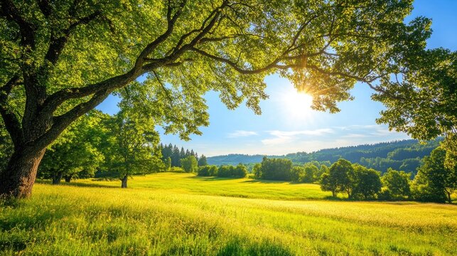 5 Summer Activities To Do Nearby