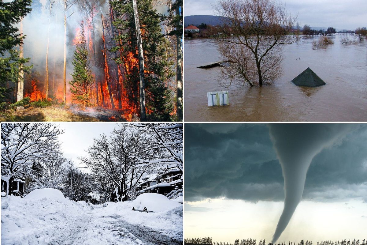 Understanding the Growing Impact of Natural Disasters