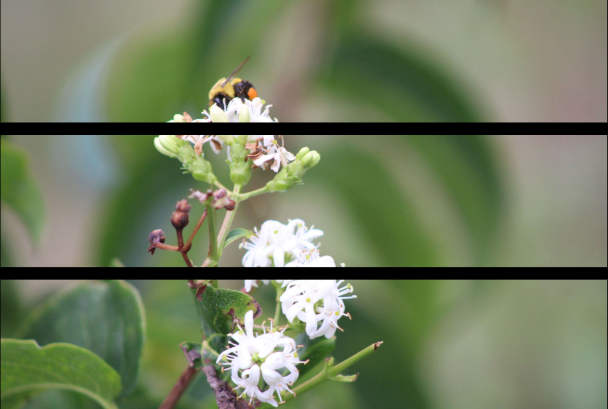 Lili Hunt, Triptych Photography, Photo II