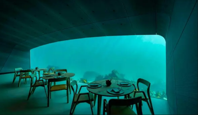Underwater Dining - Creative Writing by Noah Heinz