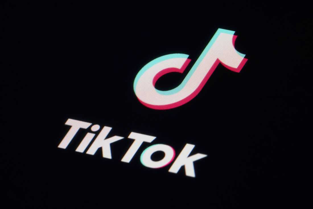 TikTok Recap 2025