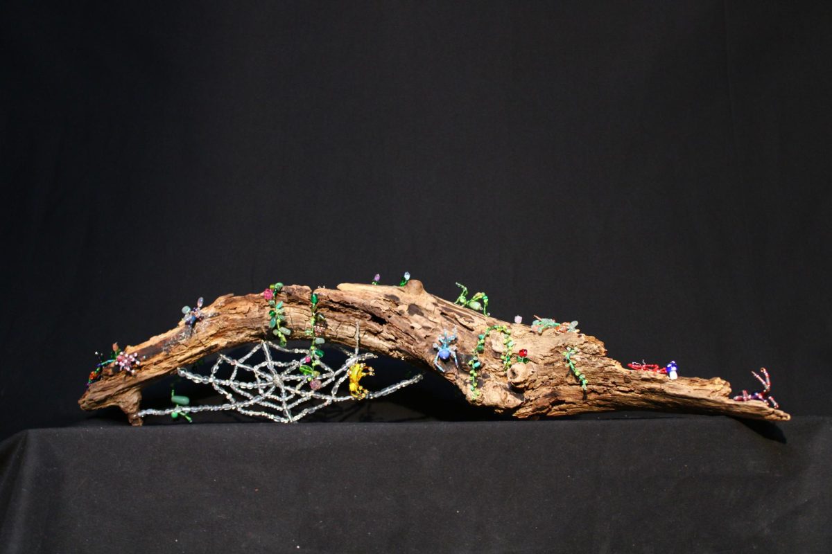 Elise Difranco - Creepy Crawlies